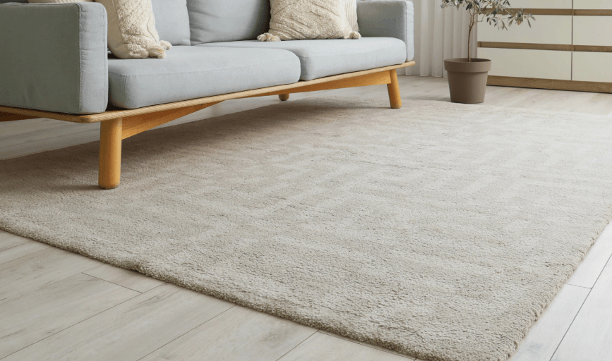 Carpet Cleaning